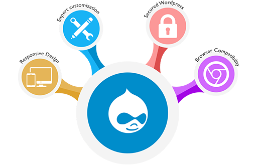 Drupal Development Services